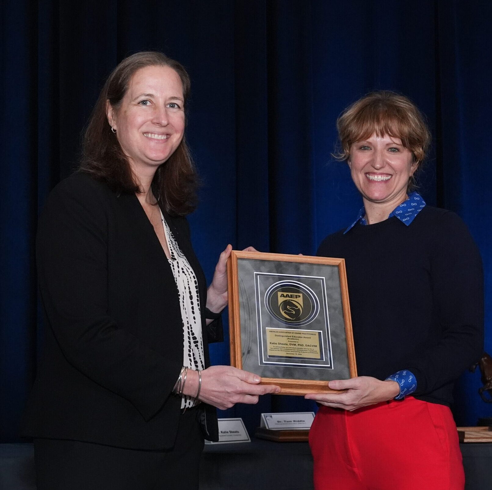 Dr. Katie Sheats Receives AAEP’s Distinguished Educator–Educational Award – The Horse