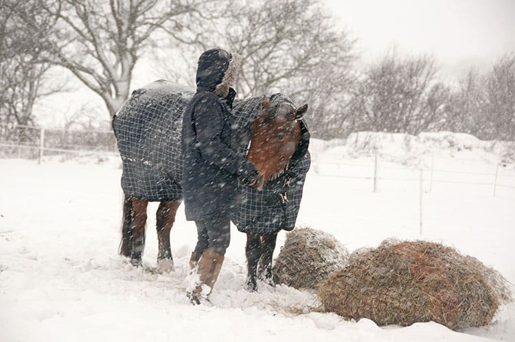 A Fast Listing to Assist Put together Your Horses for Winter – The Horse