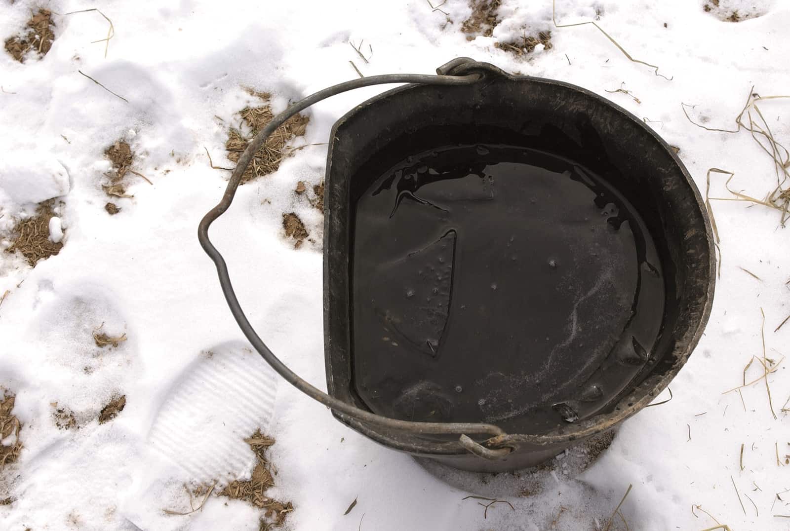 How one can Preserve Your Horse Hydrated In the course of the Winter – The Horse