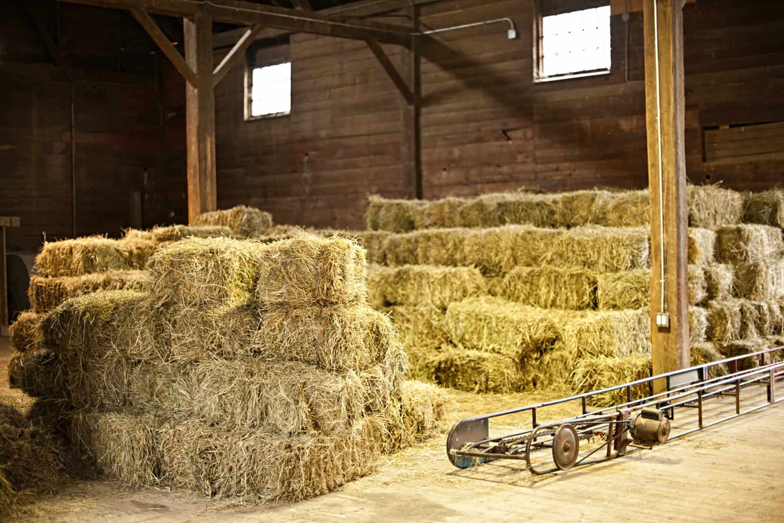 Sensible Methods for Storing Bulk Horse Feed and Hay – The Horse